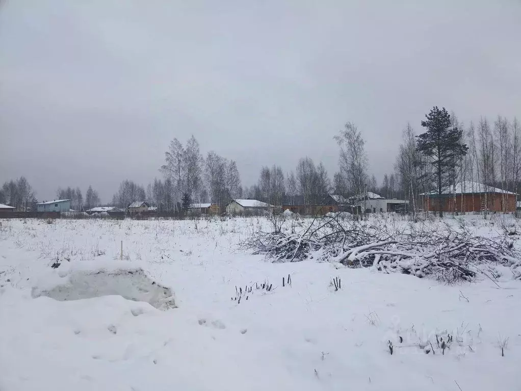 Участок в Ленинградская область, Всеволожский район, Колтушское ... - Фото 1