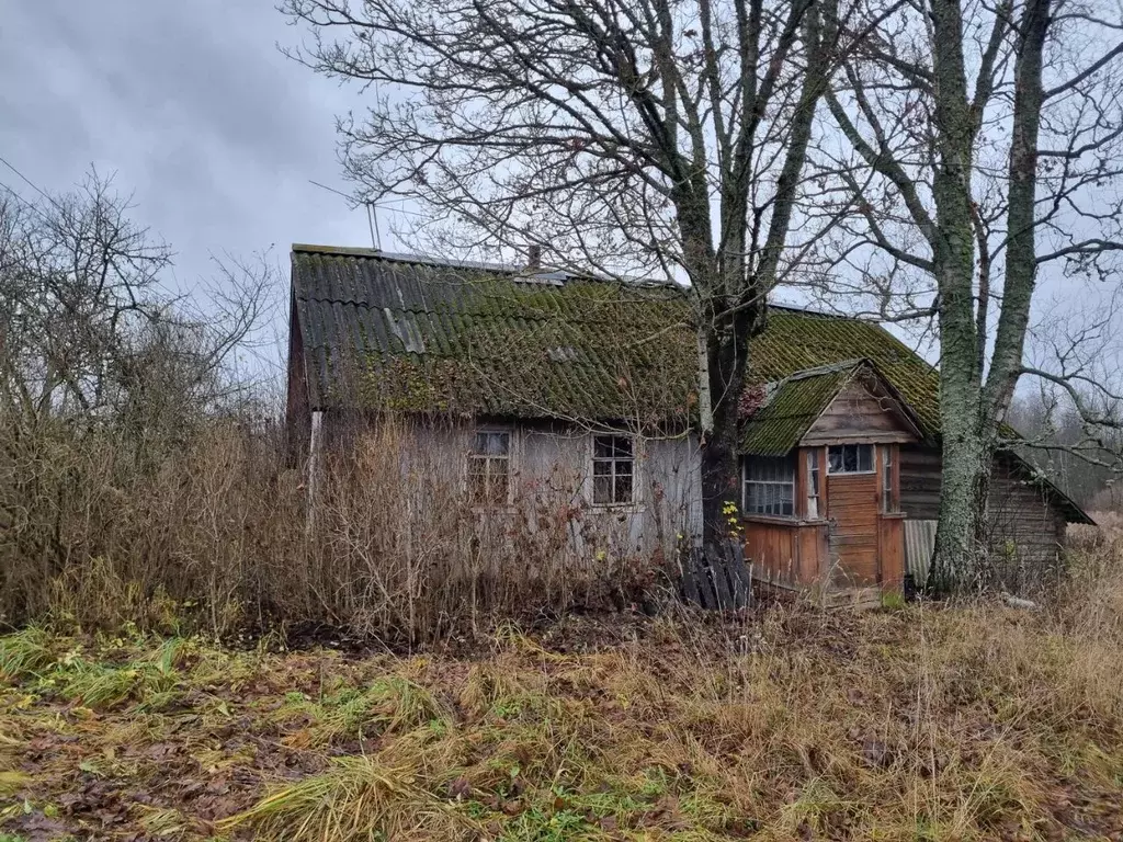 Дом в Псковская область, Палкинская волость, д. Самулино  (59 м) - Фото 1
