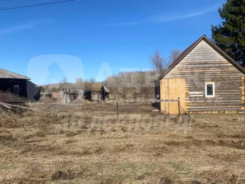 Участок в Тюменская область, Ялуторовский район, д. Кулики ул. ... - Фото 1