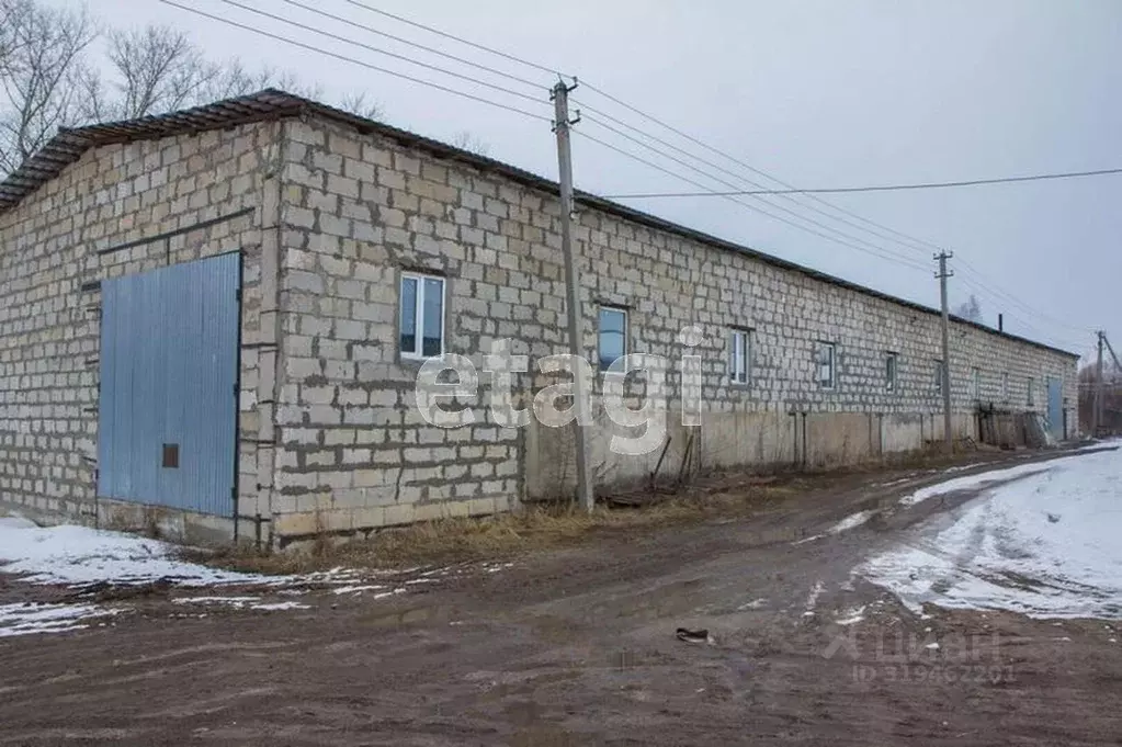 Склад в Владимирская область, Меленковский муниципальный округ, д. ... - Фото 1