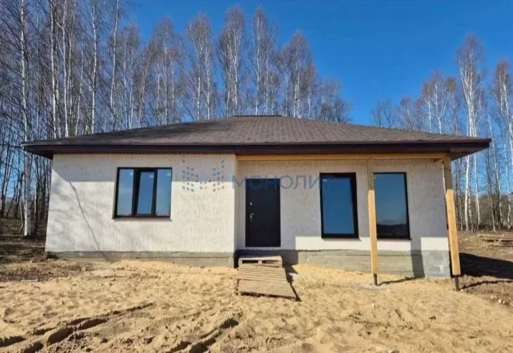 Дом в Нижегородская область, Богородский муниципальный округ, д. ... - Фото 1