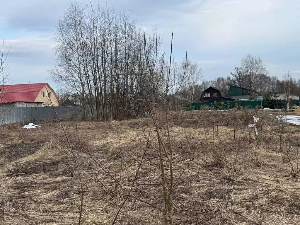 Участок в Московская область, Богородский городской округ, д. Новое ... - Фото 2