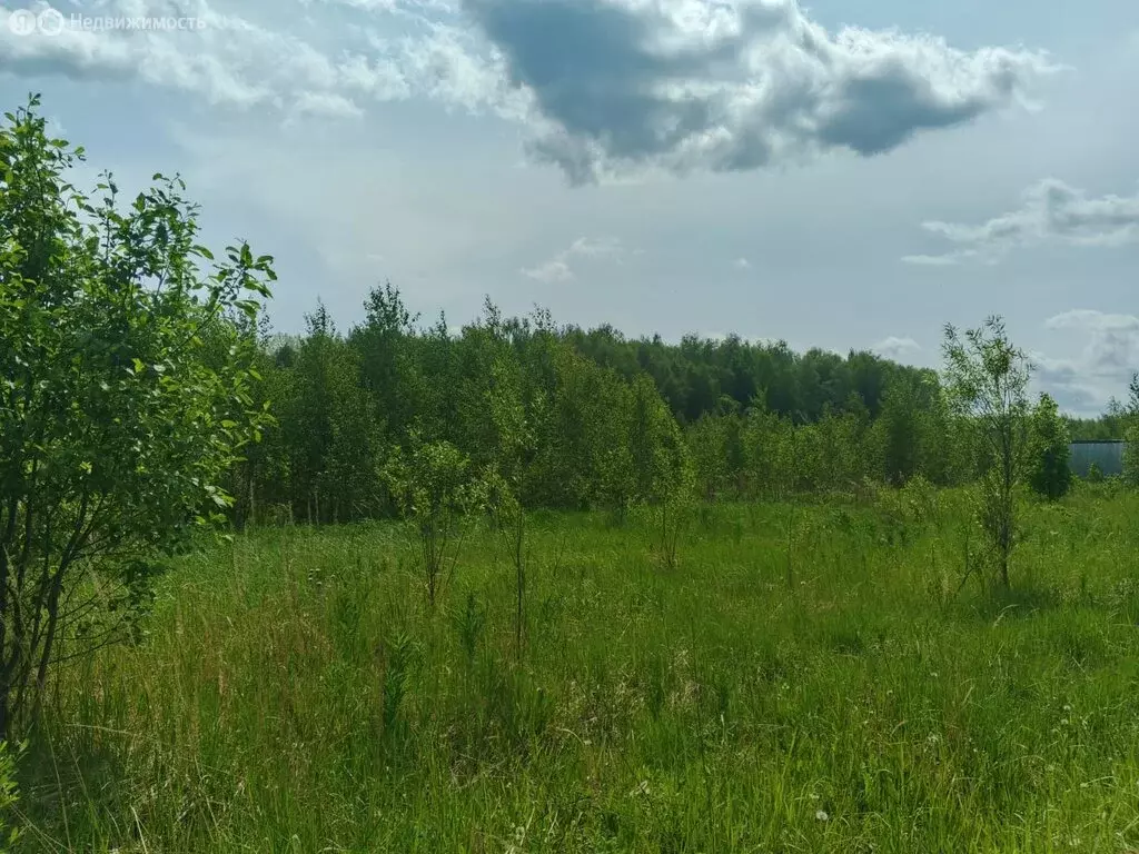 Участок в сельское поселение Шумятино, деревня Алехново (1138 м) - Фото 0