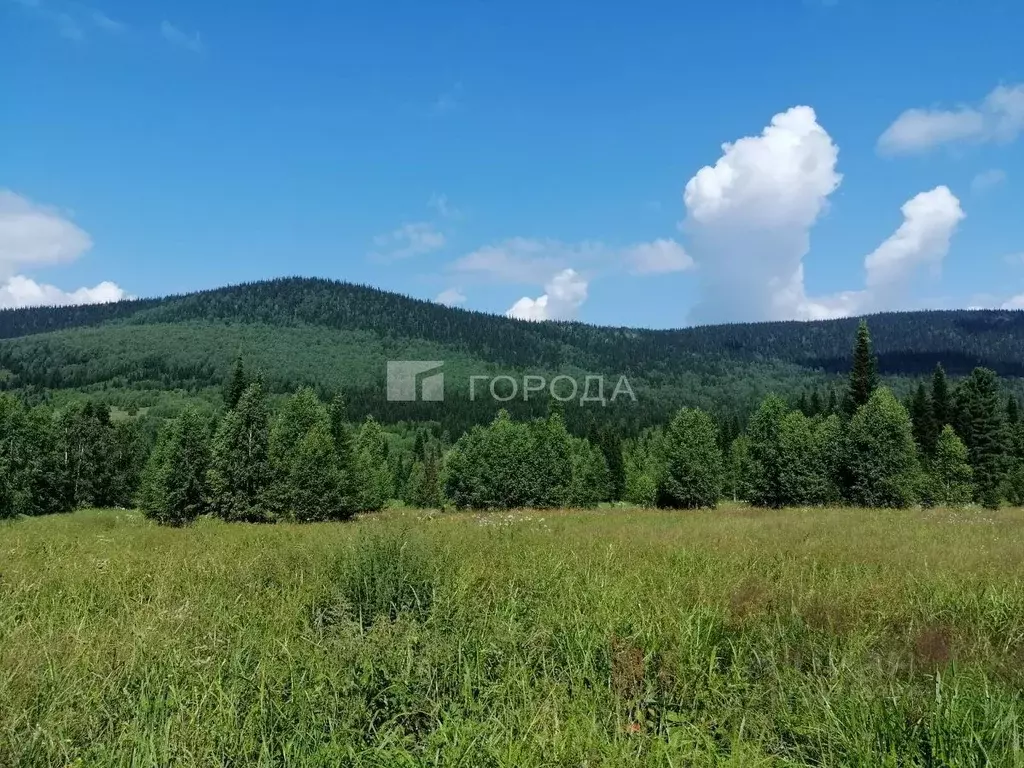 Участок в Кемеровская область, Таштагол ул. Ушакова (15.0 сот.) - Фото 0