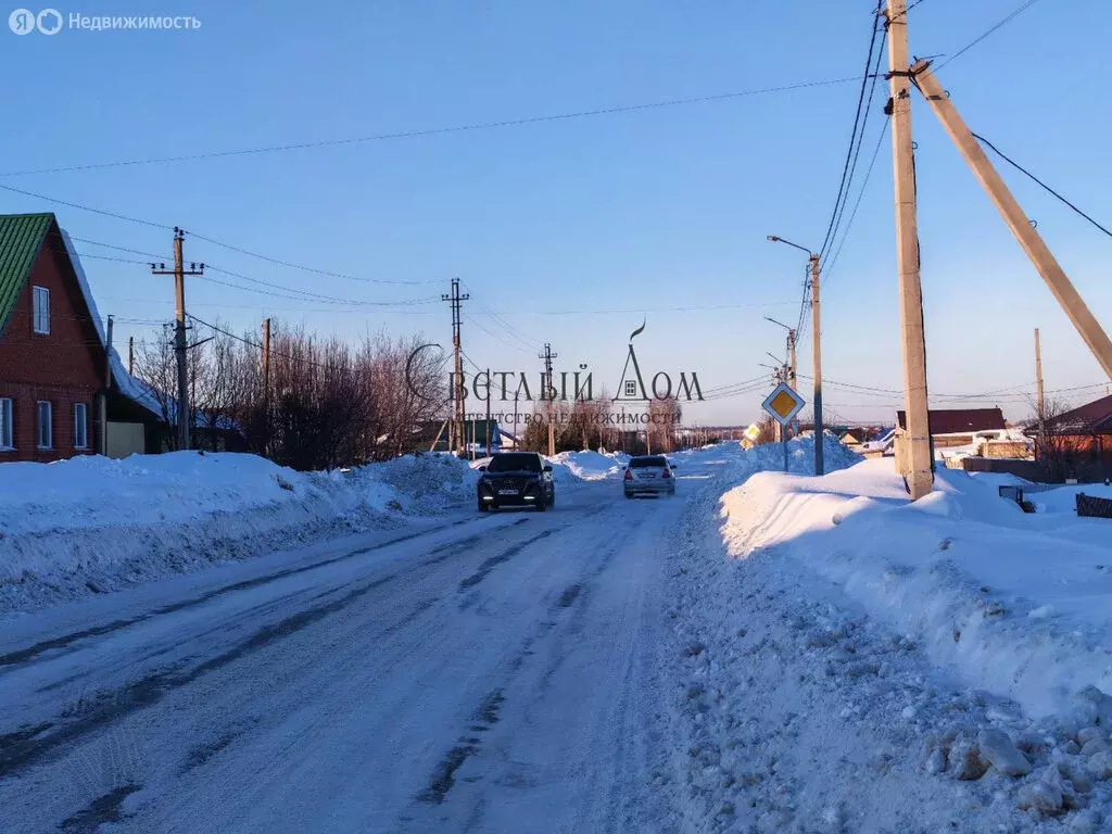 Участок в Чернушка, СНТ РОНО (36 м) - Фото 1