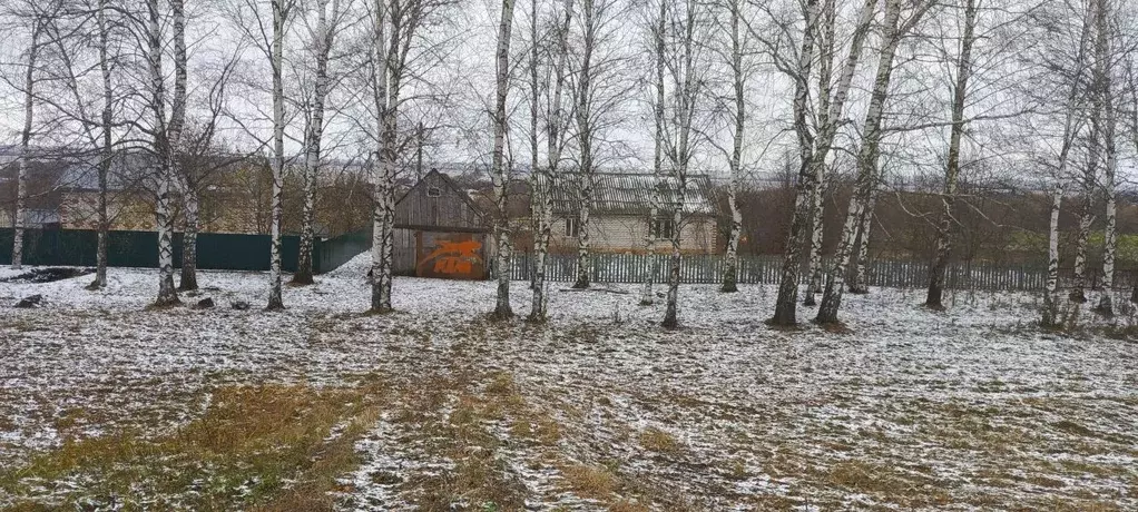 Дом в Нижегородская область, Сеченовский муниципальный округ, с. ... - Фото 0