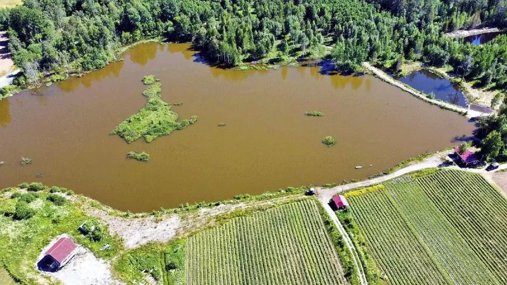 Участок в Карелия, Сортавальский муниципальный округ, пос. Киркколахти ... - Фото 2