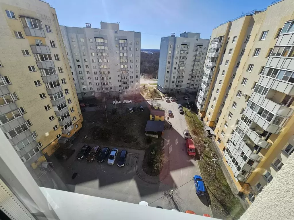 4-к кв. Санкт-Петербург пос. Парголово, Приозерское ш., 18к7 (101.0 м) - Фото 2