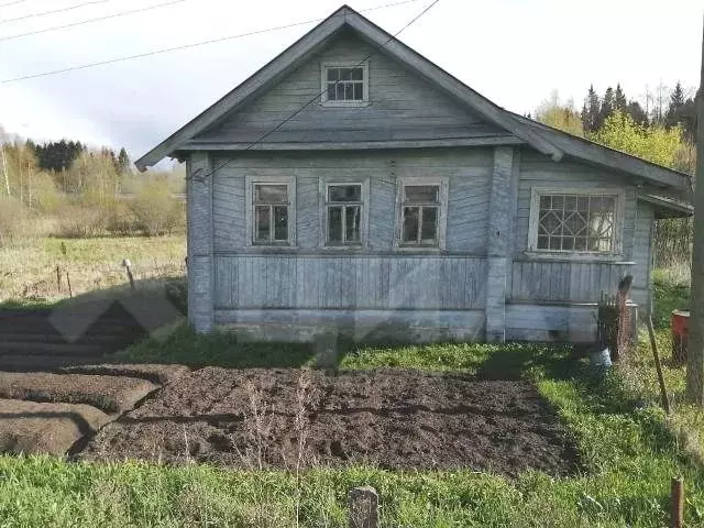 Новая деревня новгородская область