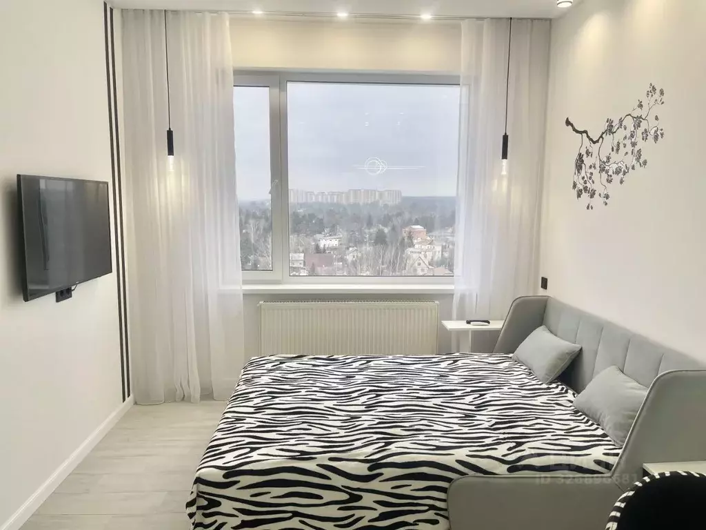 1-к кв. Московская область, Одинцовский городской округ, ... - Фото 1