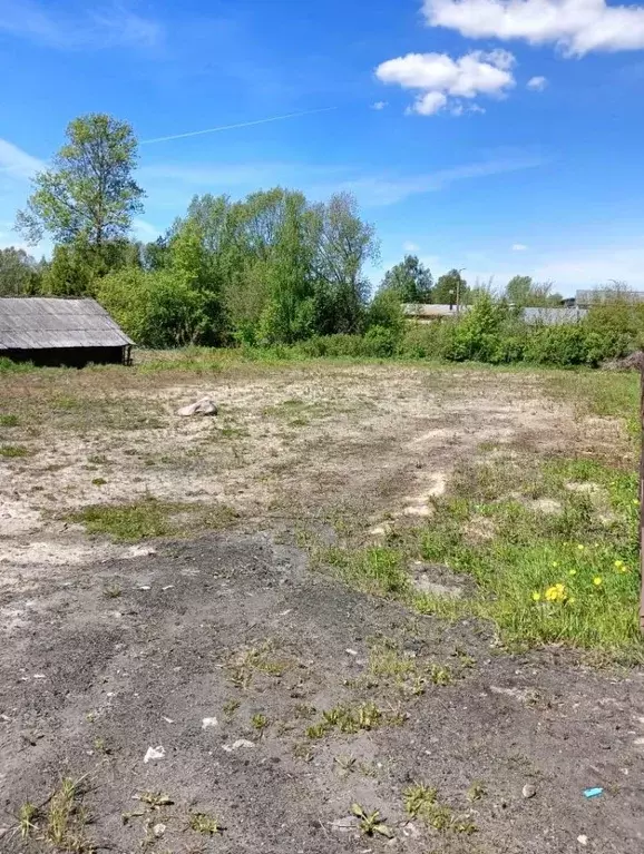 Участок в Нижегородская область, Семенов ул. Галкина, 40 (10.0 сот.) - Фото 0