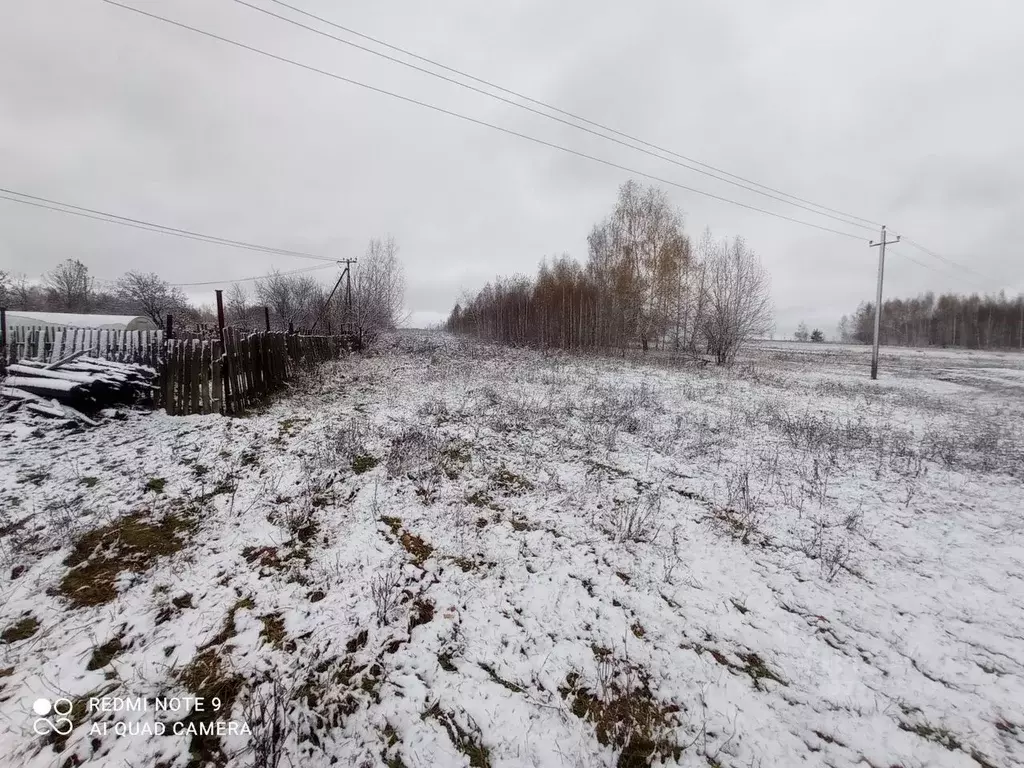 Участок в Нижегородская область, Кстовский муниципальный округ, д. ... - Фото 1