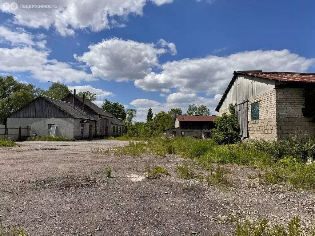 Помещение свободного назначения (900 м) - Фото 0