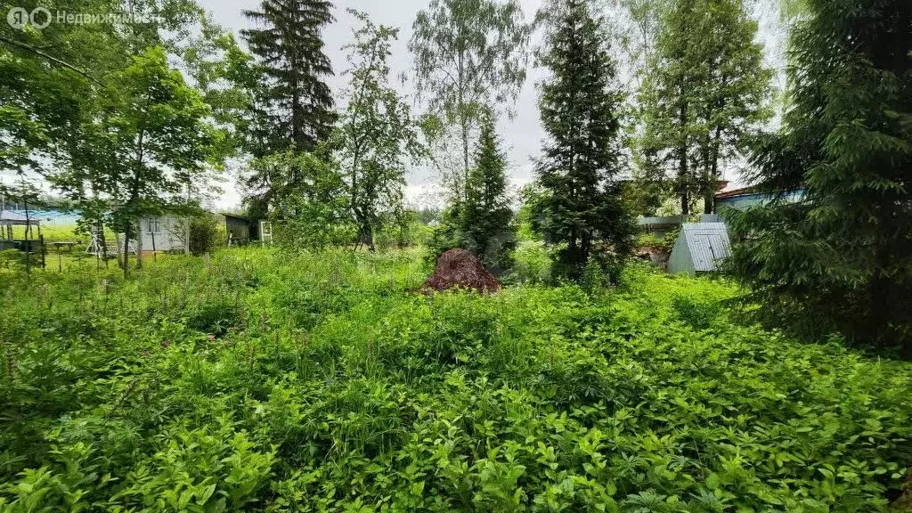 Участок в Московская область, Одинцовский городской округ, СНТ ... - Фото 1
