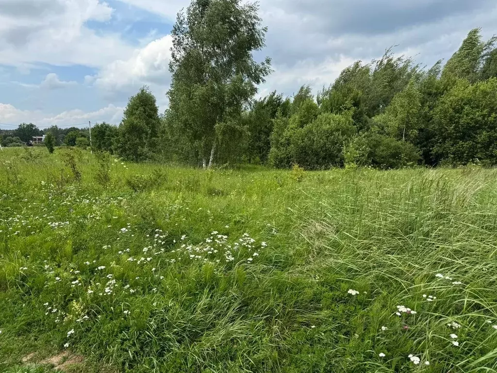 Участок в Московская область, Ногинск Богородский городской округ, ... - Фото 0