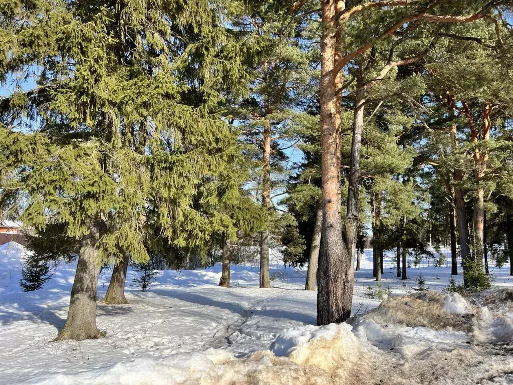 Участок в Московская область, Рузский городской округ, пос. Колюбакино ... - Фото 0