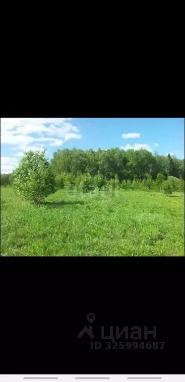 Участок в Псковская область, Печорский муниципальный округ, д. ... - Фото 2