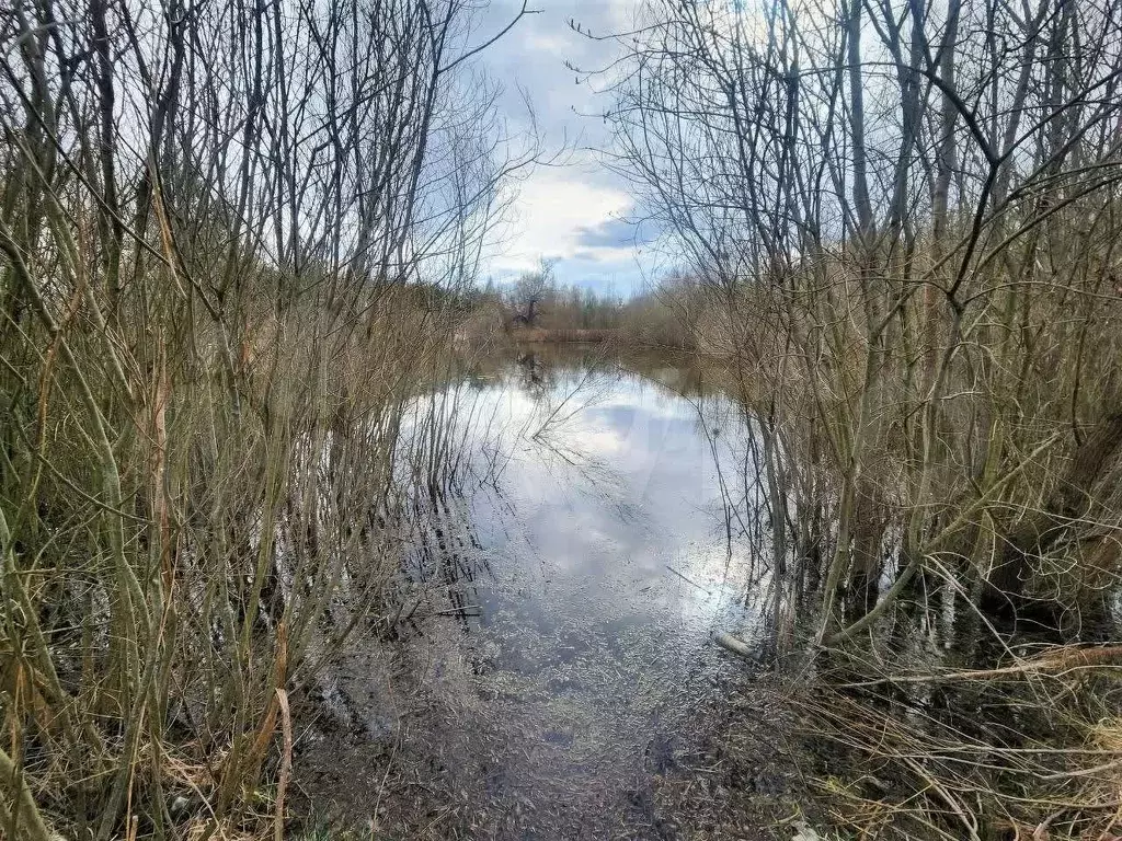 Участок 10 сот. (личное подсобное хозяйство (лпх)) - Фото 1