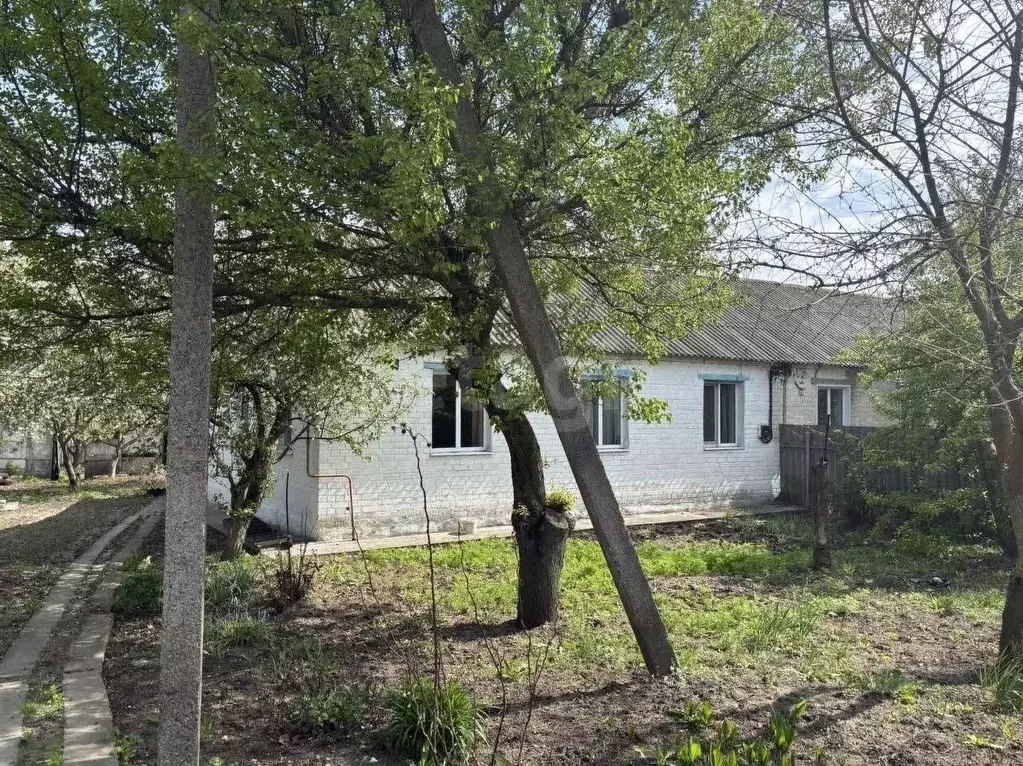 Дом в Белгородская область, Ивнянский район, с. Верхопенье ул. ... - Фото 1