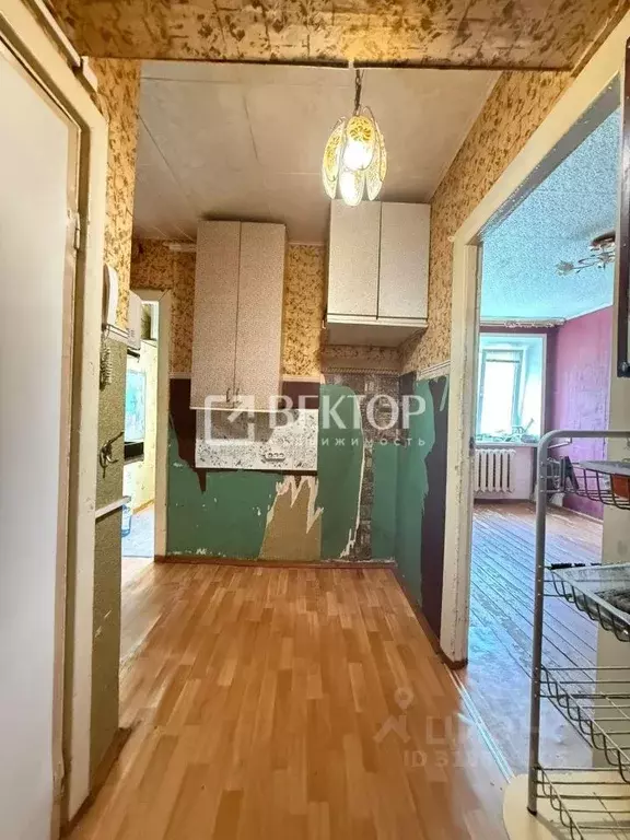 2-к кв. Костромская область, Кострома Центральная ул., 48 (22.4 м) - Фото 2