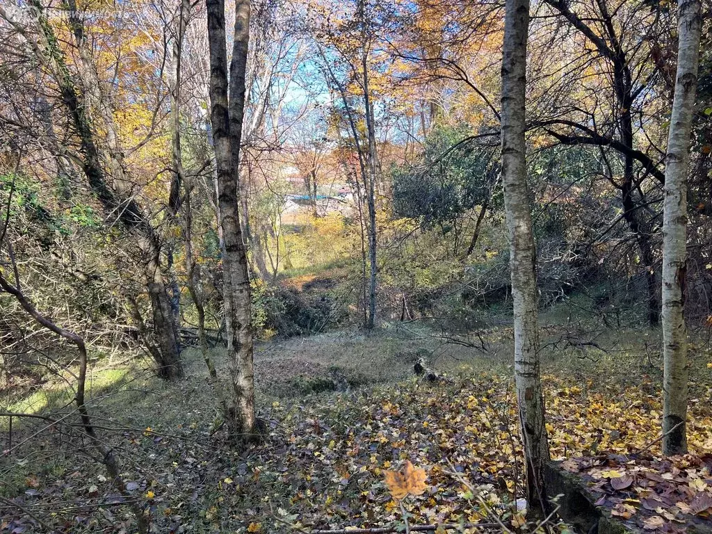 Дом в Краснодарский край, городской округ Сочи, село Черешня (6 м) - Фото 0