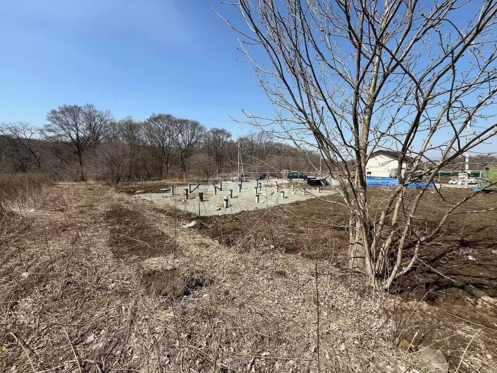 Участок в Приморский край, Артемовский городской округ, с. Суражевка ... - Фото 0