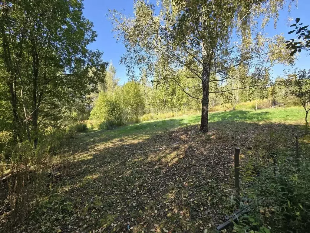 Участок в Брянская область, Брянский район, Снежское с/пос, с. ... - Фото 2