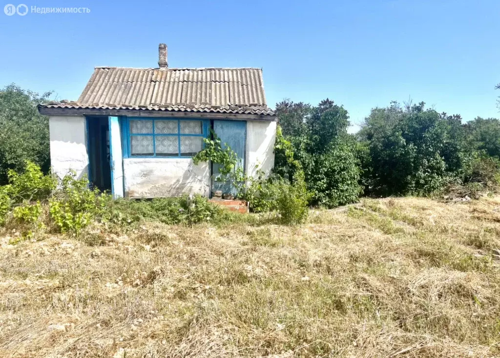 Участок в Саки, СНТ Химик-1 (12 м) - Фото 0