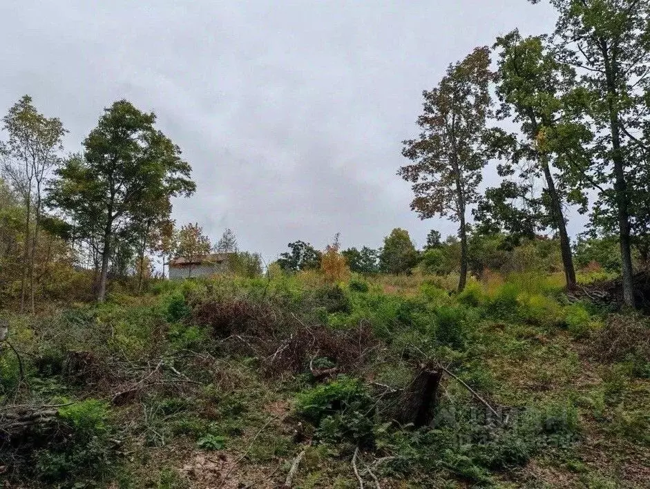 Участок в Приморский край, Артем Надежда-3 СТ,  (10.0 сот.) - Фото 1