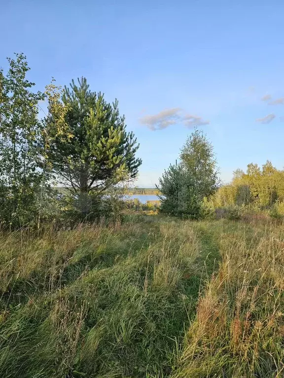 Участок 7 сот. (ИЖС) - Фото 1