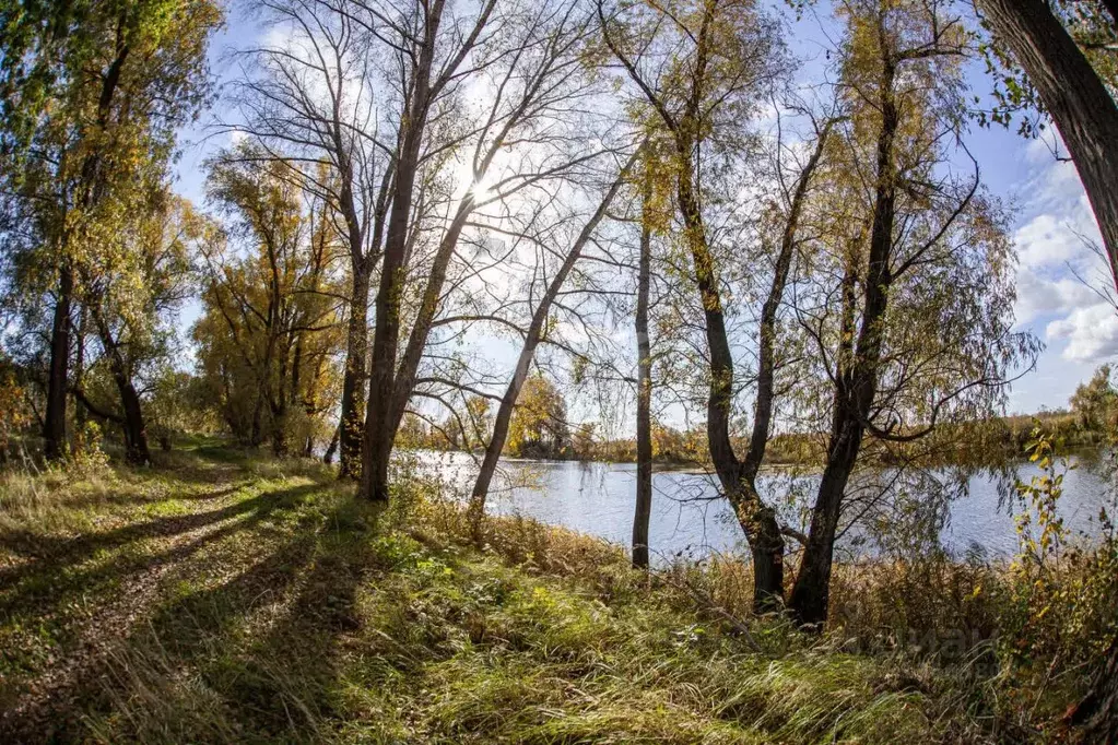 Участок в Новосибирская область, Новосибирский район, Кудряшовский ... - Фото 0