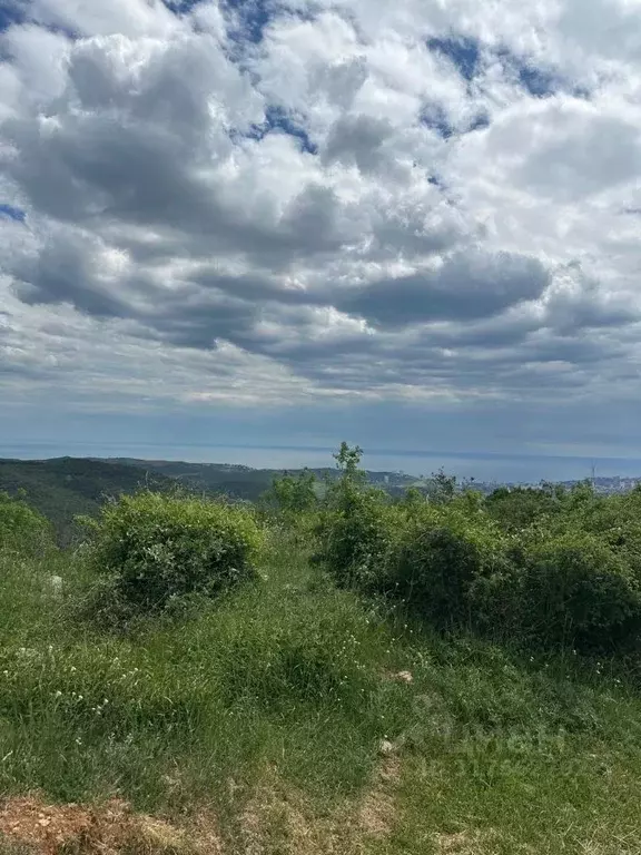 Участок в Крым, Алушта муниципальный округ, с. Верхняя Кутузовка ул. ... - Фото 0