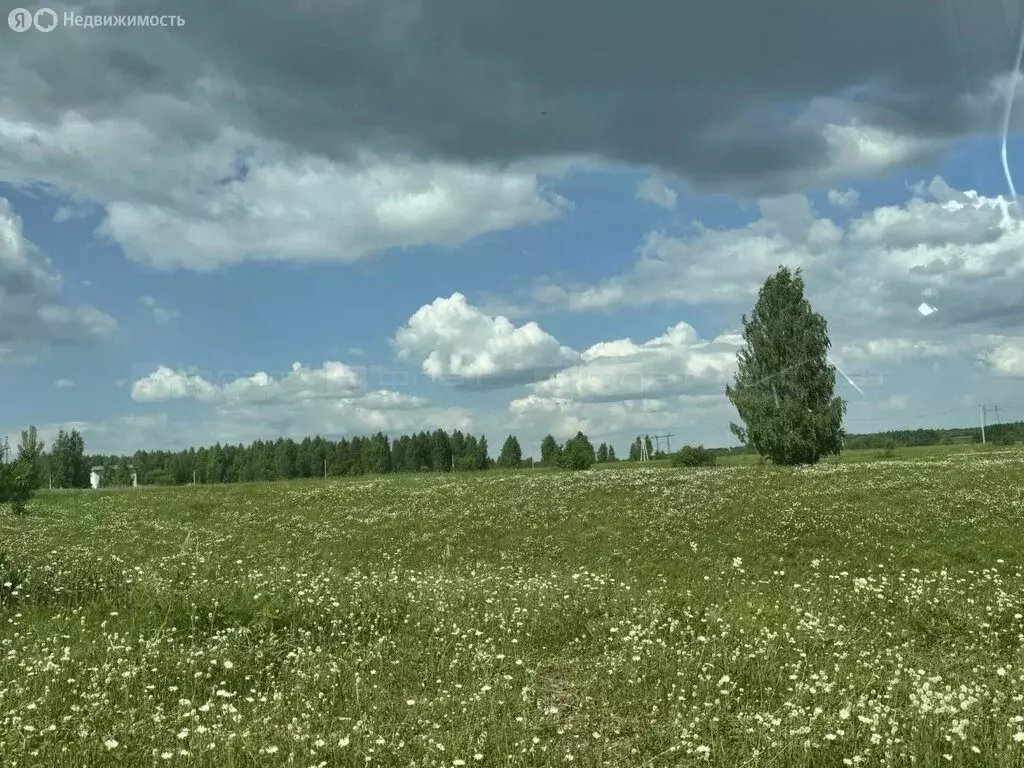 Участок в село Старое Шигалеево, Школьная улица (125 м) - Фото 1