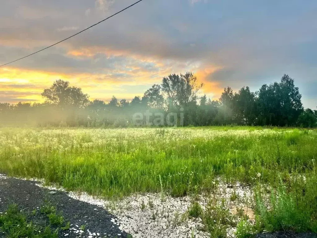 Участок в Нижегородская область, Кстовский муниципальный округ, д. ... - Фото 1