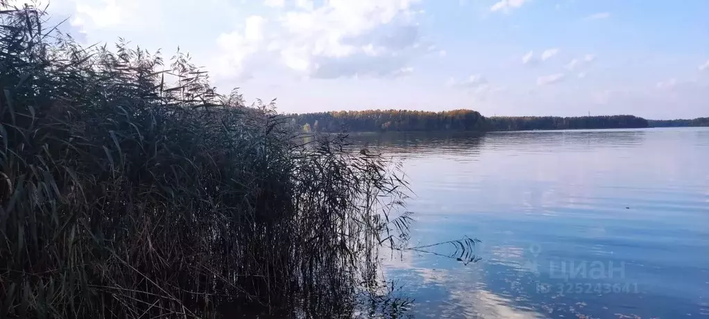Участок в Московская область, Мытищи городской округ, д. Большое ... - Фото 0