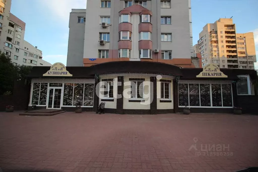 Торговая площадь в Белгородская область, Белгород бул. Юности, 3 (235 ... - Фото 0
