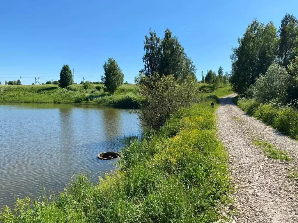 Участок в Тульская область, Заокский район, Страховское с/пос, д. ... - Фото 1