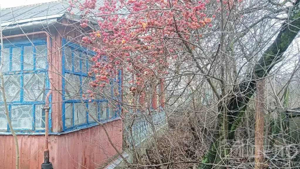 Дом в Рязанская область, Рязань пос. Мирный, ул. Достоевского, 9 (39 ... - Фото 2