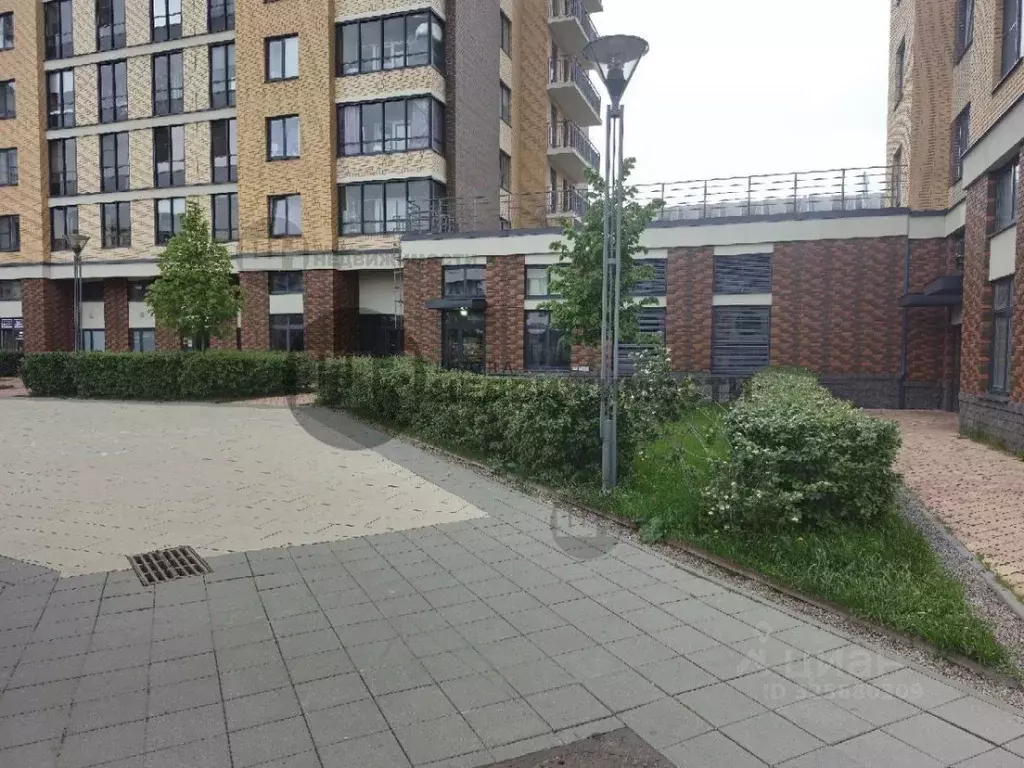 Помещение свободного назначения в Ленинградская область, Ломоносовский ... - Фото 2