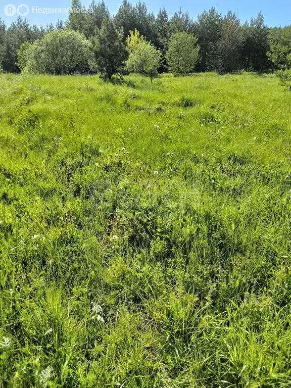 Участок в Пермский муниципальный округ, село Курашим (5 м) - Фото 1