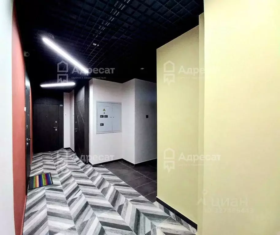 1-к кв. Волгоградская область, Волгоград Профсоюзная ул., 20 (32.0 м) - Фото 1