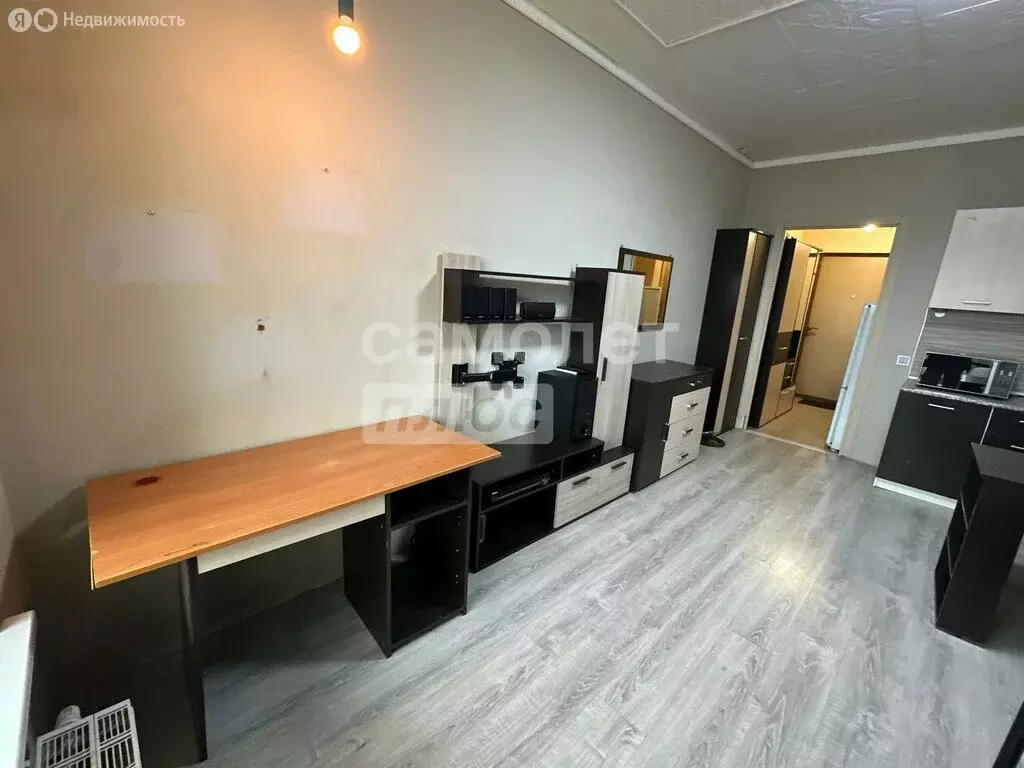 Квартира-студия: Кудрово, Европейский проспект, 21к2 (24.8 м) - Фото 2