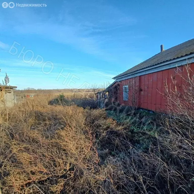Дом в Большой Мелик, Московская улица, 27 (51.8 м) - Фото 1