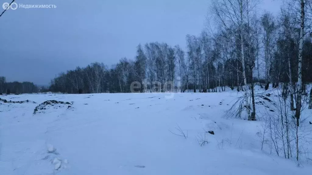 Участок в Станционный сельсовет, ДНТ Ратник (12 м) - Фото 1