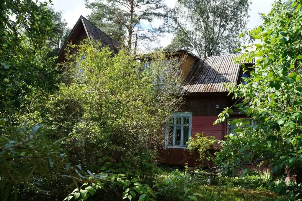 Участок в Ленинградская область, Гатчинский муниципальный округ, ... - Фото 2