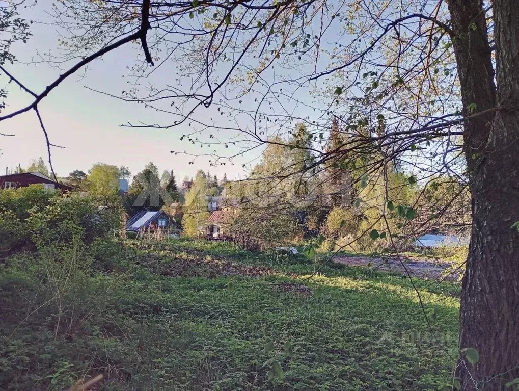 Участок в Новосибирская область, Новосибирск Золотая Горка СНТ, аллея ... - Фото 2