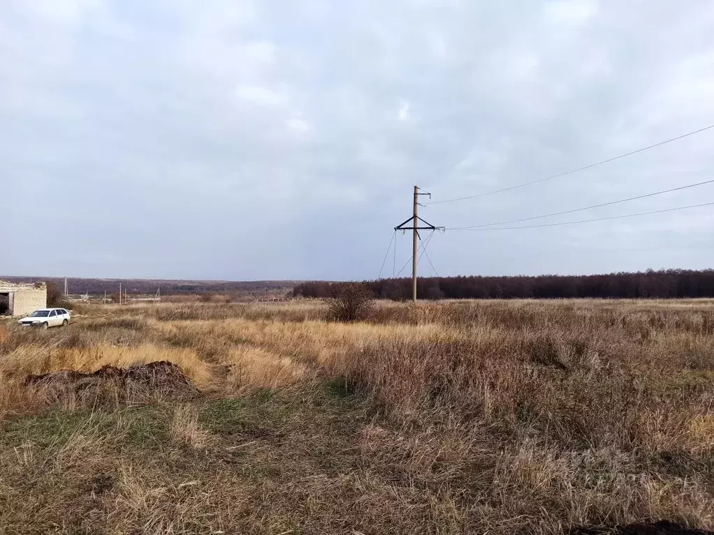 Участок в Самарская область, Челно-Вершинский район, Каменный Брод ... - Фото 1