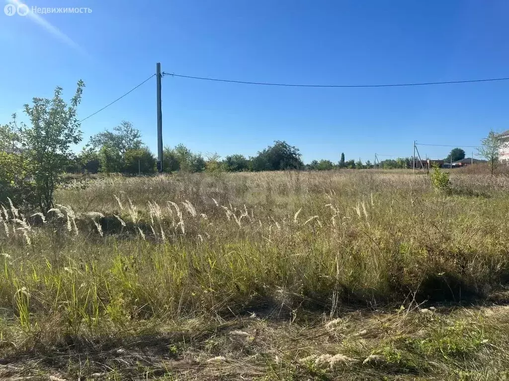Участок в Борисоглебск, улица Плеханова (6.5 м) - Фото 1