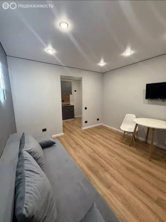 Квартира-студия: Казань, улица Восстания, 24 (18.5 м) - Фото 2