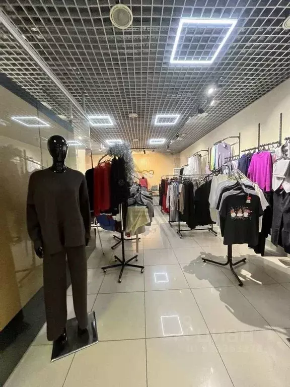 Торговая площадь в Воронежская область, Воронеж ул. Фридриха Энгельса, ... - Фото 1